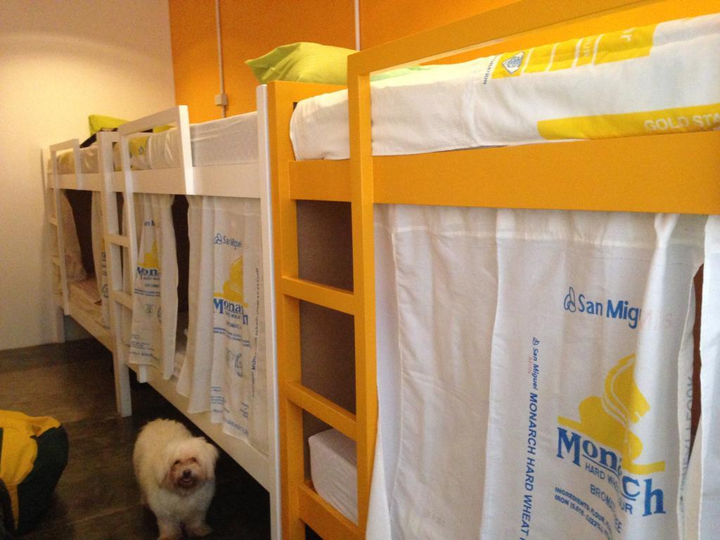 Moon Fools Hostel Панглао Номер фото